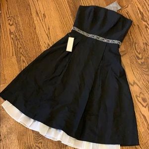 NWT Silk Embroidered Waist Dress (optional straps)